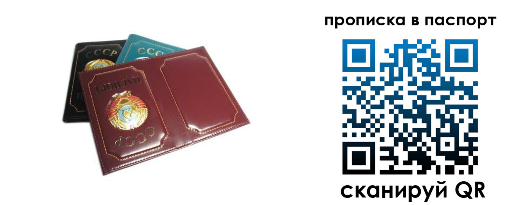 регистрация в Мордовии